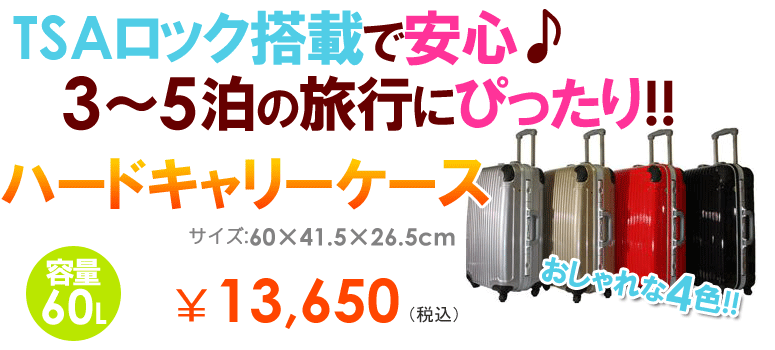 TSA���b�N���ڃX�[�c�P�[�X 61C �N���A�V���o�[ 