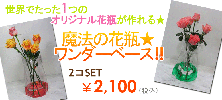 �����_�[�x�[�XL �y2�Z�b�g�z 