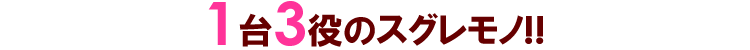 エコポカバス&ゆたんぽ 1台3役のスグレモノ!!